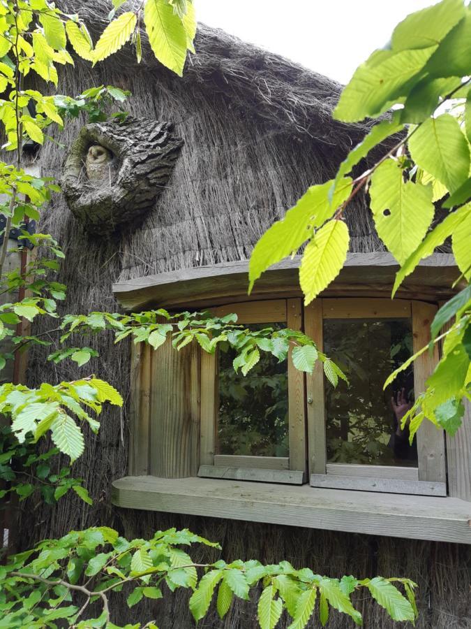 Cabane D'Augustin Saint-Augustin  외부 사진